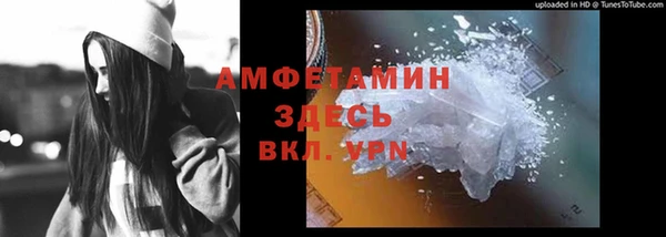 прущие грибы Тольятти
