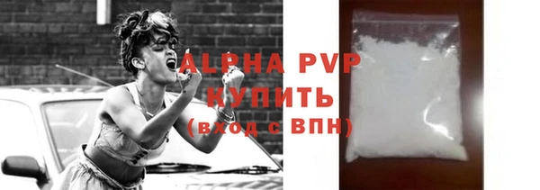 прущие грибы Михайлов