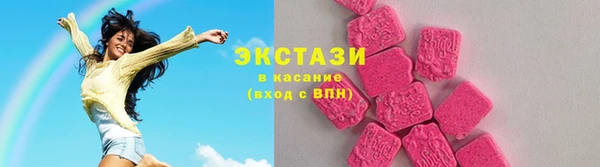 индика Ладушкин