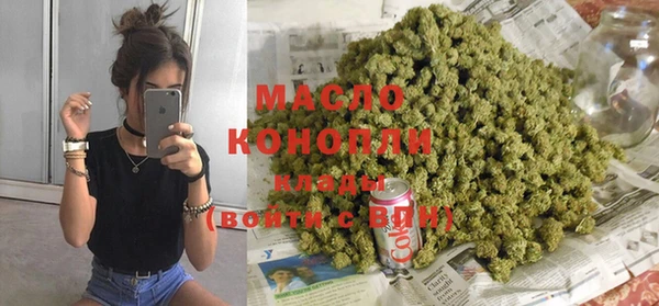 молекула духа Надым