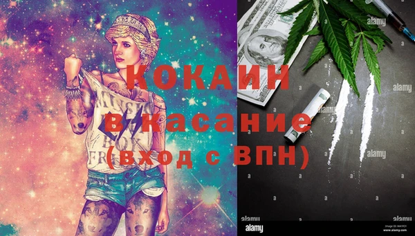прущие грибы Тольятти