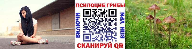Галлюциногенные грибы Magic Shrooms  Няндома 